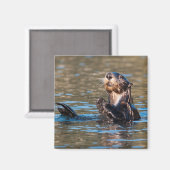 Sunny Zee Otter Magneet (Voorkant / Achterkant)
