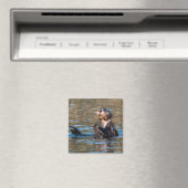 Sunny Zee Otter Magneet (Insitu (Vaatwasser))