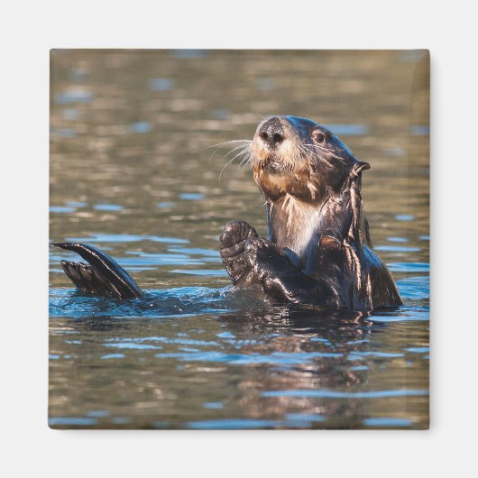 Sunny Zee Otter Magneet (Voorkant)