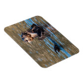 Sunny Zee Otter Magneet (Rechterzijde)