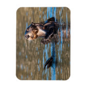 Sunny Zee Otter Magneet (Verticaal)