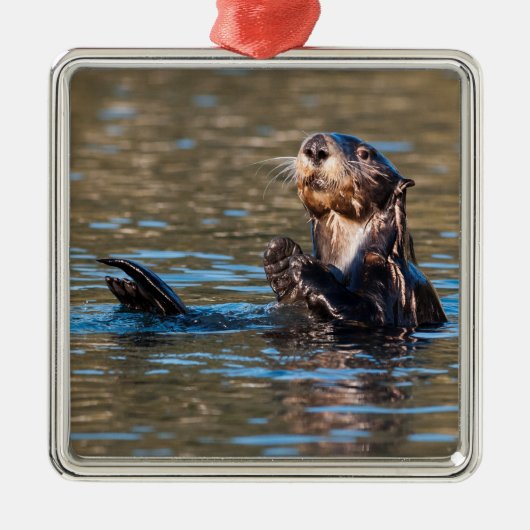Sunny Zee Otter Metalen Ornament (Voorkant)