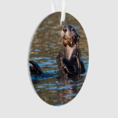 Sunny Zee Otter Ornament (voorkant)