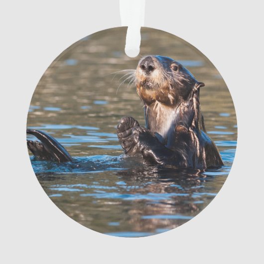 Sunny Zee Otter Ornament (achterkant)