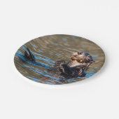 Sunny Zee Otter Papieren Bordje (Gekanteld)