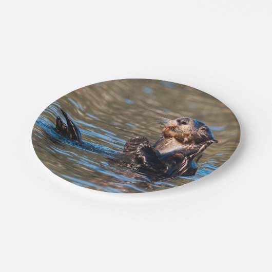 Sunny Zee Otter Papieren Bordje (Gekanteld)