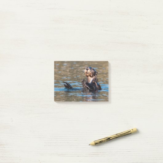 Sunny Zee Otter Post-it® Notes (Op bureau)