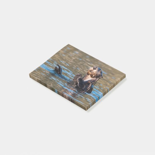 Sunny Zee Otter Post-it® Notes (Schuin)
