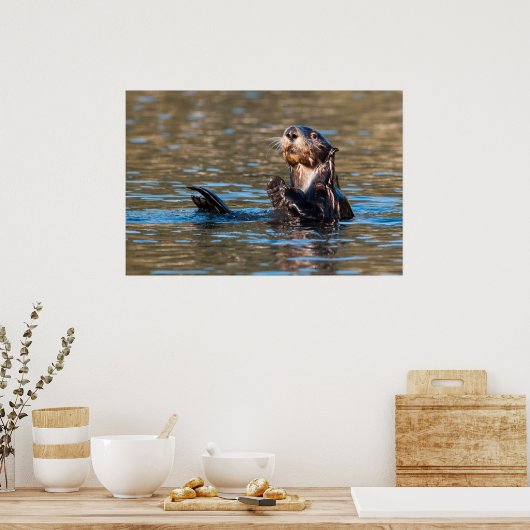 Sunny Zee Otter Poster (Keuken)