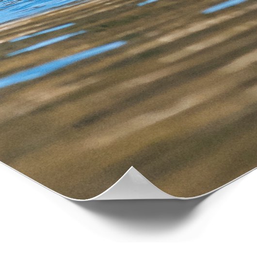 Sunny Zee Otter Poster (Hoek)