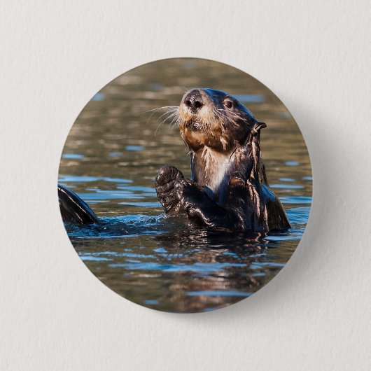 Sunny Zee Otter Ronde Button 5,7 Cm (Voorkant)