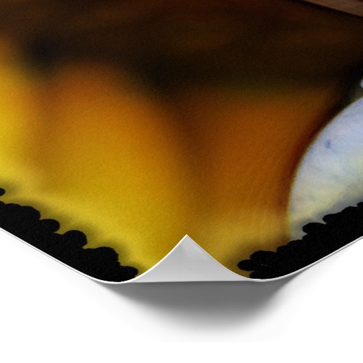 SUNPEACE-Poster Poster (Hoek)