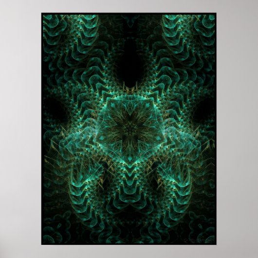 SUNPHYSIS-Poster Poster (Voorkant)