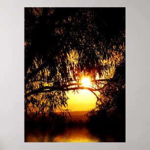 Sunrealisme: Ferntree Gully Poster