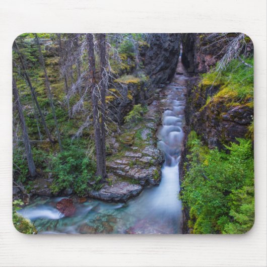Sunrift Gorge in Glacier National Park, Montana Muismat (Voorkant)