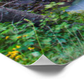 Sunrift Gorge in Glacier National Park, Montana Poster (Hoek)