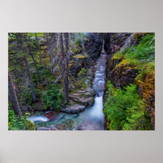 Sunrift Gorge in Glacier National Park, Montana Poster (Voorkant)