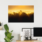 Sunrise achter fogische bomen poster (Thuiskantoor)