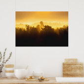 Sunrise achter fogische bomen poster (Keuken)