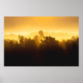 Sunrise achter fogische bomen poster (Voorkant)