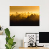 Sunrise achter fogische bomen poster (Thuiskantoor)