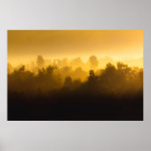 Sunrise achter fogische bomen poster (Voorkant)
