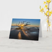 Sunrise Beach Scene met drijfhout - Blank Kaart (Gele Bloem)