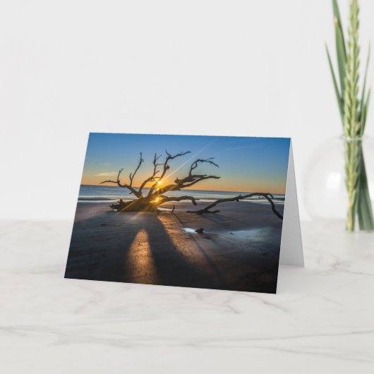 Sunrise Beach Scene met drijfhout - Blank Kaart (Voorkant)