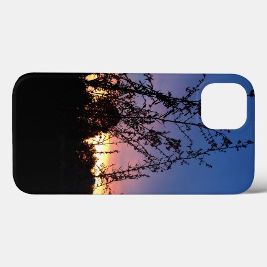Sunrise between Wildflower Silhouette Stalks Case-Mate iPhone Case (Achterkant (horizontaal))