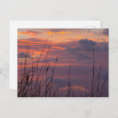 Sunrise bij Fort Pierce, Florida Briefkaart (Voorkant / Achterkant)