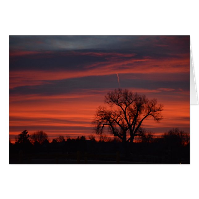 Sunrise bij het meer van Harper (Voorkant Horizontaal)