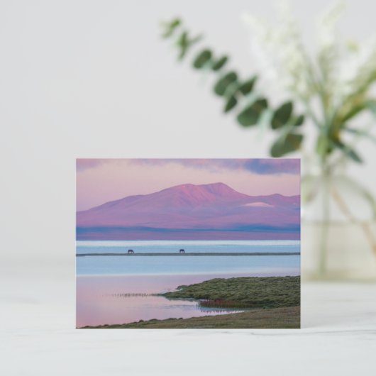 Sunrise bij het meer van Song Kul Briefkaart (Staand voorkant)