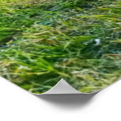 Sunrise bij Moulton Barn Poster (Hoek)