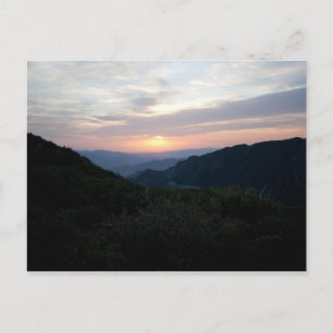 Sunrise bij Penny Pines Briefkaart
