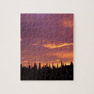 Sunrise Boreal Forest Alaska Legpuzzel