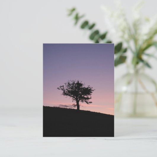 Sunrise Briefkaart (Staand voorkant)