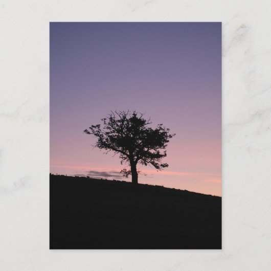 Sunrise Briefkaart (Voorkant)