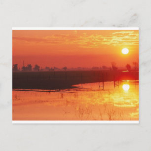 Sunrise Briefkaart