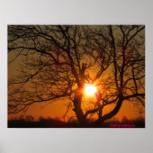 Sunrise canvas print (Voorkant)