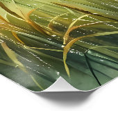 Sunrise Church with Birds in Misty Meadow Perfect Poster (Hoek)