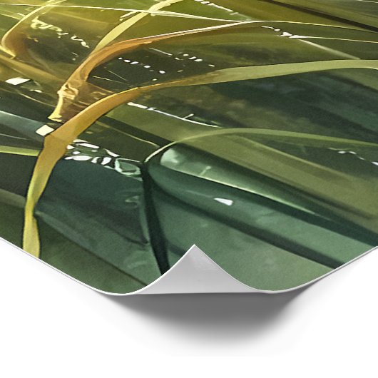 Sunrise Church with Birds in Misty Meadow Poster (Hoek)