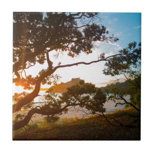 Sunrise Coromandel strandparadijs Nieuw-Zeeland Tegeltje (Voorkant)