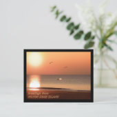 Sunrise, Dolphins en Gulls Briefkaart (Staand voorkant)