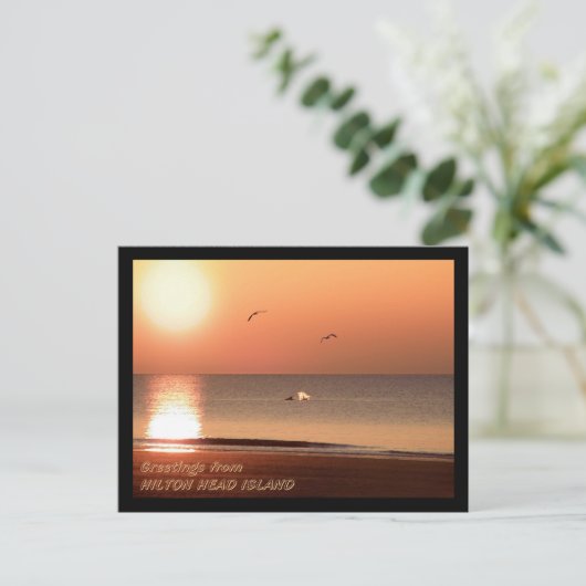 Sunrise, Dolphins en Gulls Briefkaart (Staand voorkant)