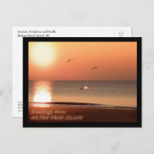 Sunrise, Dolphins en Gulls Briefkaart (Voorkant / Achterkant)