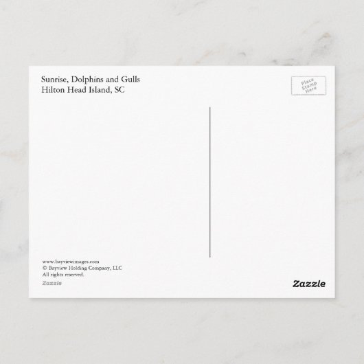 Sunrise, Dolphins en Gulls Briefkaart (Achterkant)