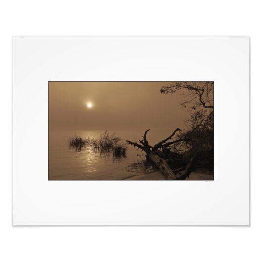 Sunrise door Fog op Winyah Bay Foto Afdruk (Voorkant)