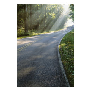 Sunrise door mist langs groene rivier foto afdruk