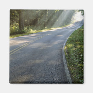 Sunrise door mist langs groene rivier magneet