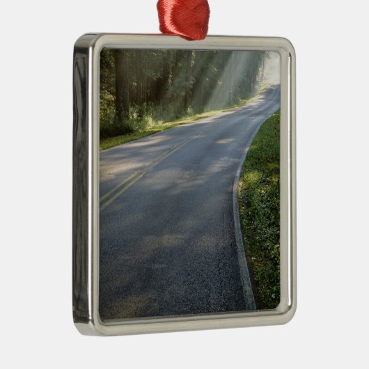 Sunrise door mist langs groene rivier metalen ornament (Rechts)